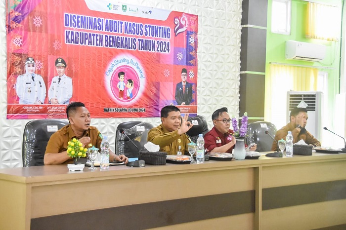 Diseminasi Audit Tahap I, Bupati Bengkalis Ajak Perkuat Sinergi Tekan Prevalensi Stunting