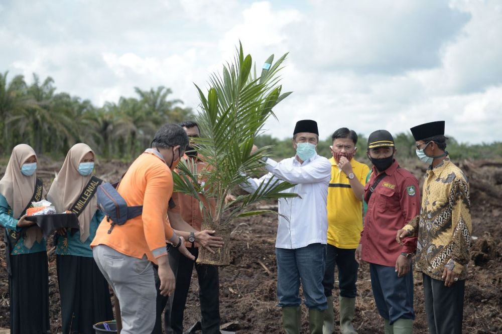 Gubri Tanam Perdana Kelapa Sawit Kegiatan Program Peremajaan Sawit Rakyat di Siak Kecil