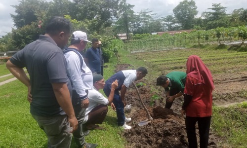 Kelompok Tani Lubuk Dalam Mitra Binaan RAPP Budidayakan Pepaya