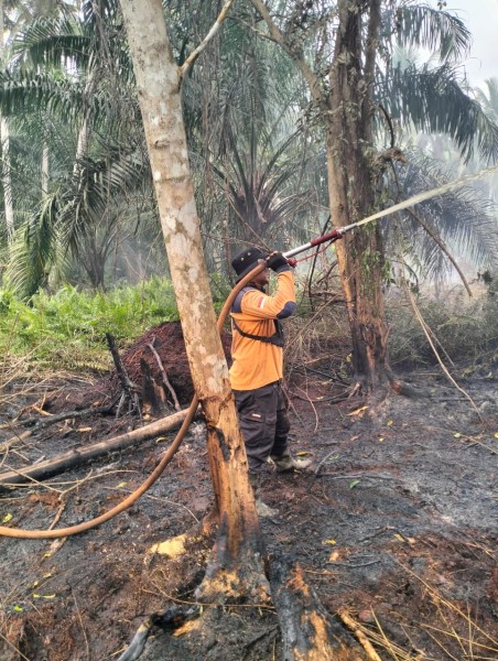 Inhil Siaga Darurat Karhutla, Perintahkan Tim TRC Pantang Pulang Sebelum Api di Tempuling Padam