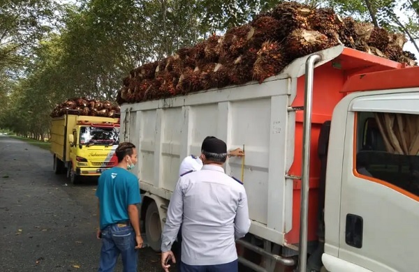 Terus Terima Pengaduan Warga, Dishub Siak Akan Tindak Tegas Tronton ODOL