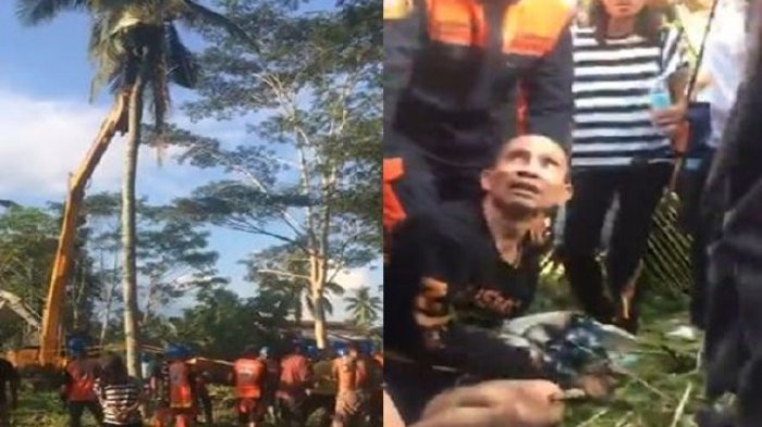 ANEH... Ngaku Takut Dibunuh, Pria Ini Akhirnya Dipaksa Turun Setelah 3 Tahun Hidup di Pohon Kelapa, Ada Nih Videonya