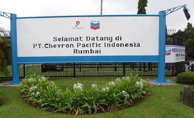 Pemerintah Pesimistis Chevron Bisa Selesaikan Targetkan Pemulihan 800 Lokasi Terkontaminasi Minyak di Riau