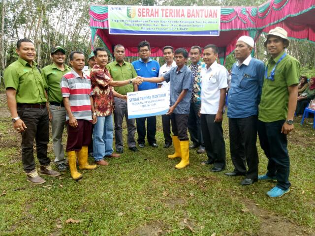 Desa Kuansing Bakal Menjadi Pusat Pengembangan Sapi