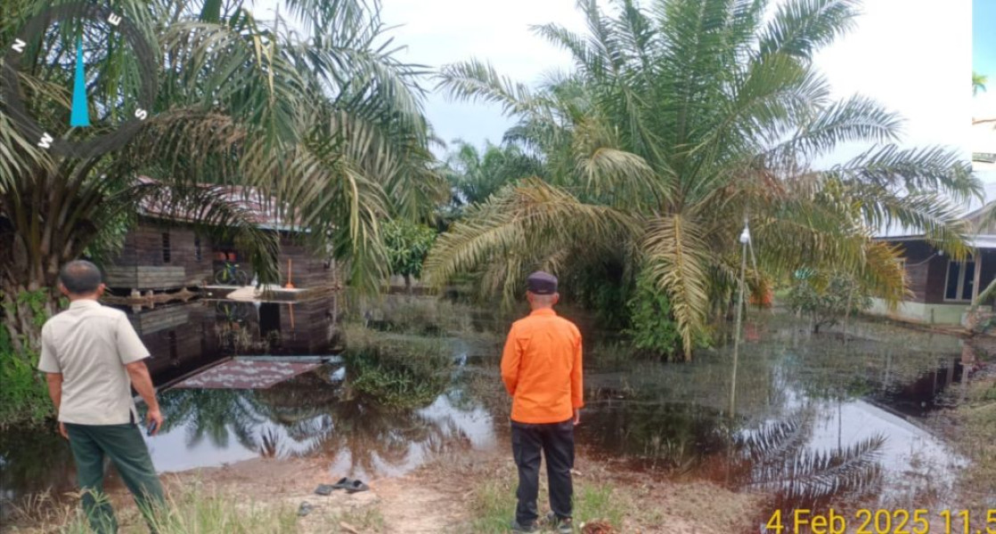 Pasca Banjir Sisakan Endapan Air di Perkebunan