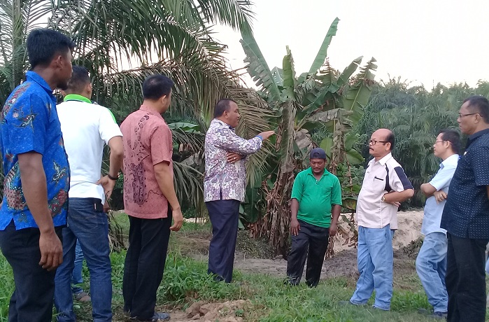 Kangkangi SK Bupati Rohil, Izin PKS Sawit Riau Makmur Terancam Dicabut