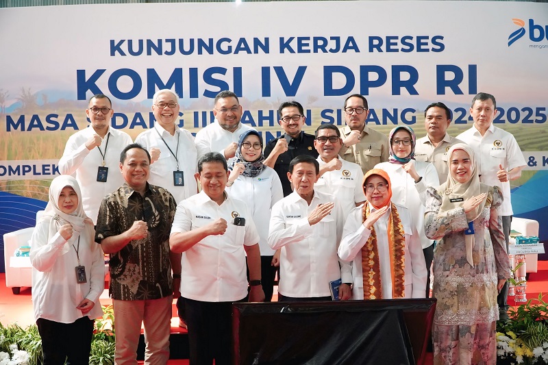 Bapanas: SInergi Pemangku Kepentingan Percepat Pencapaian Swasembada Pangan