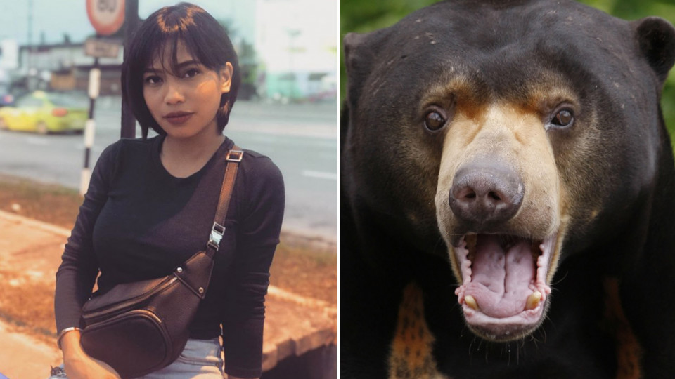 Duh, Penyanyi Cantik Ini Ditangkap karena Pelihara Beruang, 'Aku Kira Itu Anjing'
