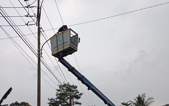 Puluhan Ribu Lampu Jalan di Pekanbaru Akan Diganti