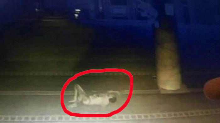 GEGER...Curi Kotak Amal, Pocong Jatuh dari Lantai 2 Masjid, Kaki dan Tangan Patah