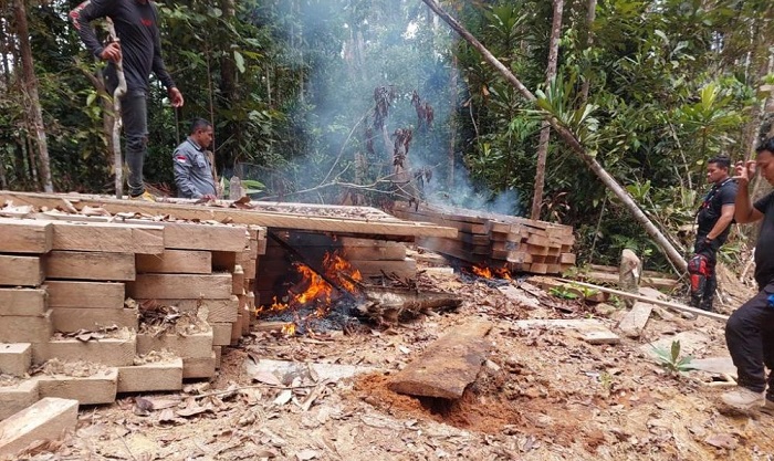Tim Gabungan Temukan Pondok dan Kayu Pembalakan Liar di Bukit Tabandang Kuansing Riau