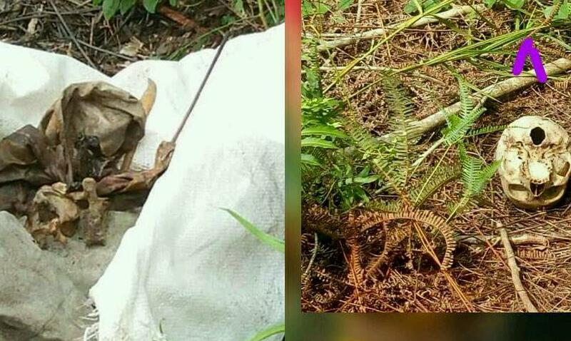 HEBOH...Warga Temukan Tengkorak dan Tulang Belulang di Sekitar SMAN 4 Mandau, Milik Siapa?
