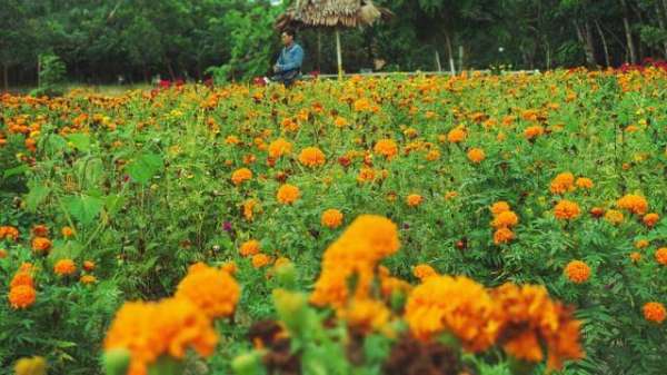 Ada Taman Bunga di Okura, Ini Tiga Pariwisata Unggulan di Pekanbaru