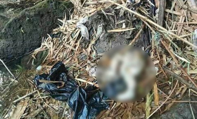 BIADAB...Warga Temukan Mayat Bayi Membusuk di Tepian Sungai, Tanpa Kepala dan Tangannya Juga Lepas 
