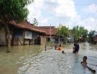 Astaga...Banjir Rendam Ribuan Rumah dan Sawah Warga Kuansing