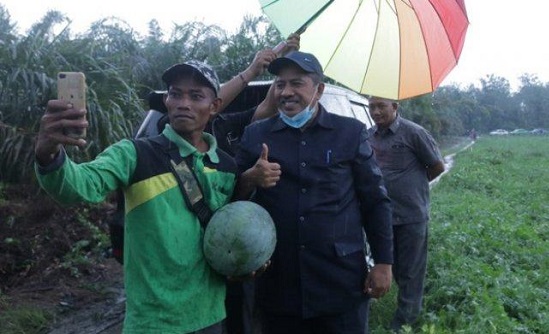 Bupati Siak Dibuat Terkagum-kagum, di Tengah Pandemi, Petani Semangka di Mempura Hasilkan Rp250 juta, Sekali Panen...