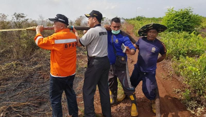 Memang Tak Ada Kabut Asap, Tapi 548,72 Ha Lahan di Riau Terbakar Sepanjang 2017