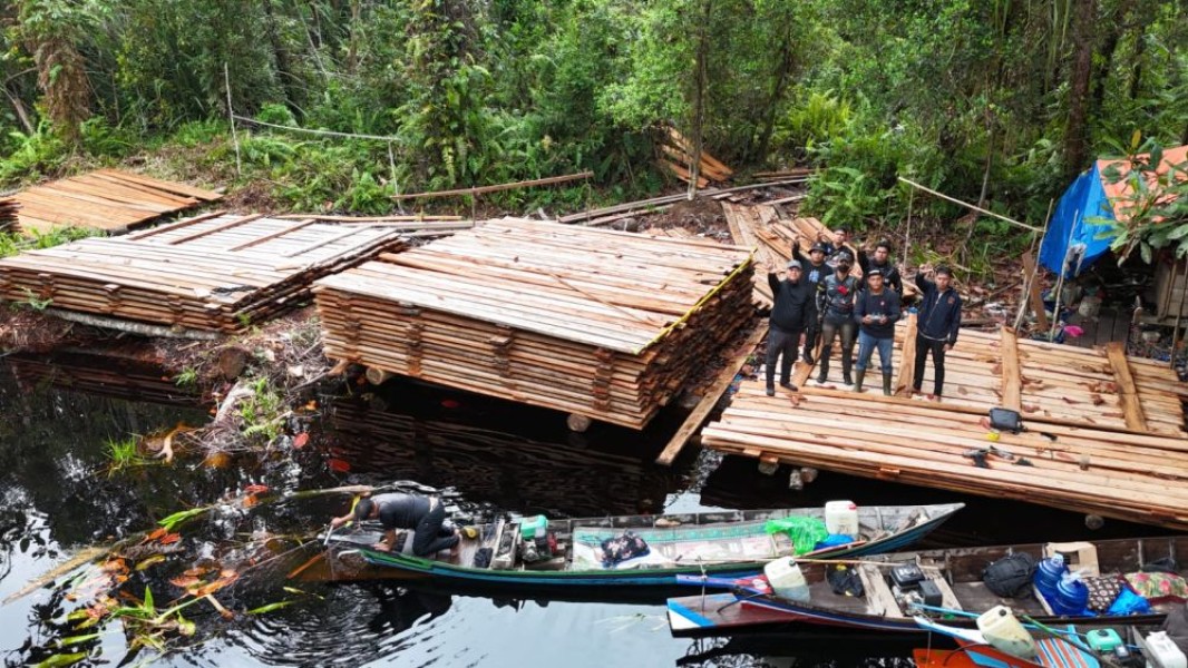 300 Meter Kubik Kayu Ilegal Disita di Inhu, KLH: Setara 120 Pohon Tumbang