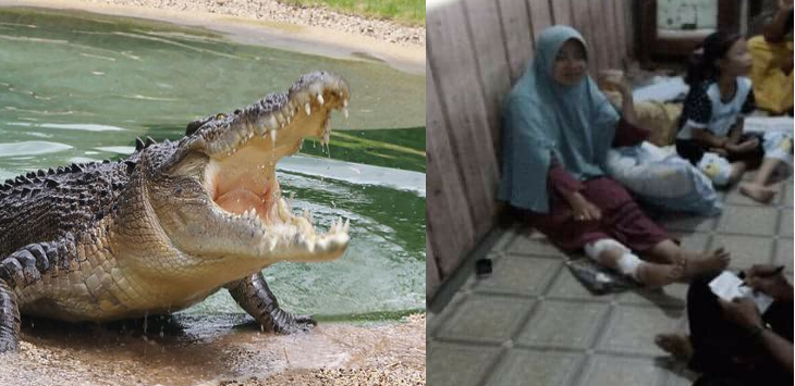 LUAR BIASA...Kakinya Disambar saat Mencuci, Wanita Berhijab Ini Balas Tusuk Mata Buaya, Ini yang Terjadi Kemudian
