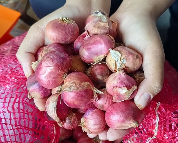 Harga Cabai Merah Reborn, Bawang Merah Bikin Perih Mata Pencaharian...