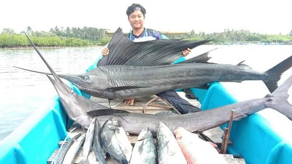 Pemancing Ini Viral Setelah Tangkap  Dua Ekor Ikan Marlin Raksasa di Pangandaran