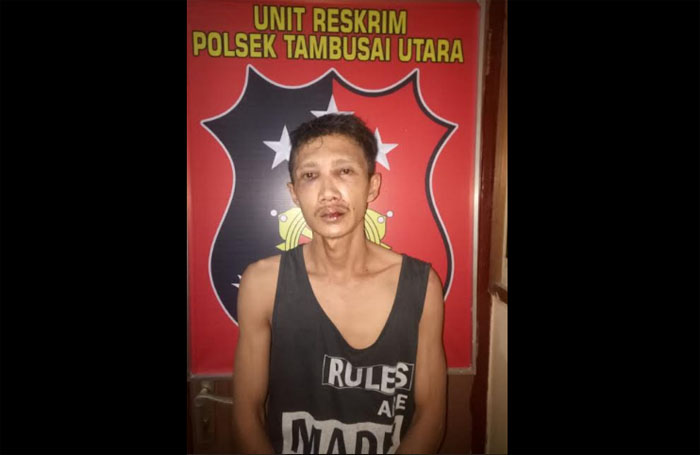 Pengedar Narkoba Ditangkap Polisi di Tambusai Utara-Rohul