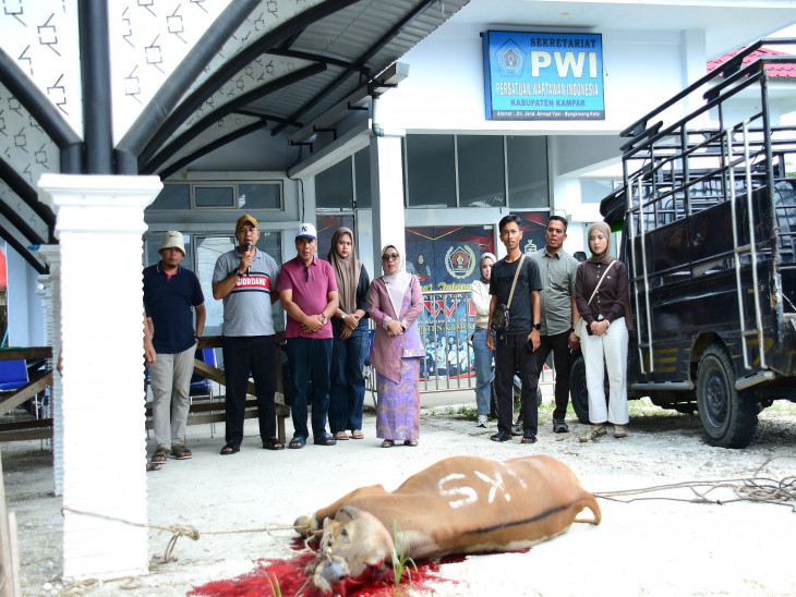 Dengan Semangat Kekompakan dan Kebersamaan, Wakil Bupati Kampar Saksikan Penyembelihan Hewan Qurban di Sekretariat PWI Kampar