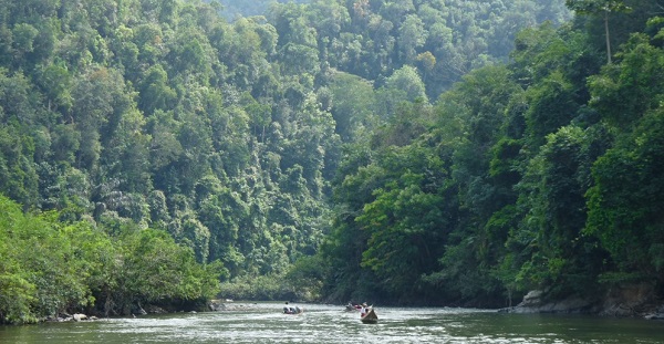 Riau Usul Bukit Rimbang Bukit Baling Menjadi Taman Nasional