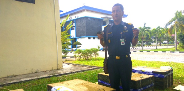 Hendak Dibawa ke Deli Serdang, Bea Cukai Tangkap Truk Angkut Ribuan  Ekor Burung Jalak dan Kacer di Dumai