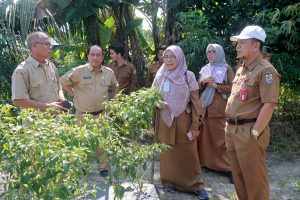 Kendalikan Inflasi, TPID Kabupaten Pelalawan Tinjau Kebun Kelompok Usaha Tani Mandiri