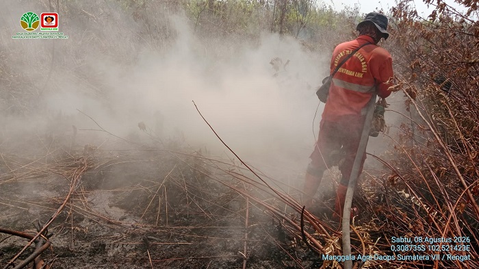 Kepala Api Karhutla Sungai Guntung Hilir Merangsek ke Hutan Primer