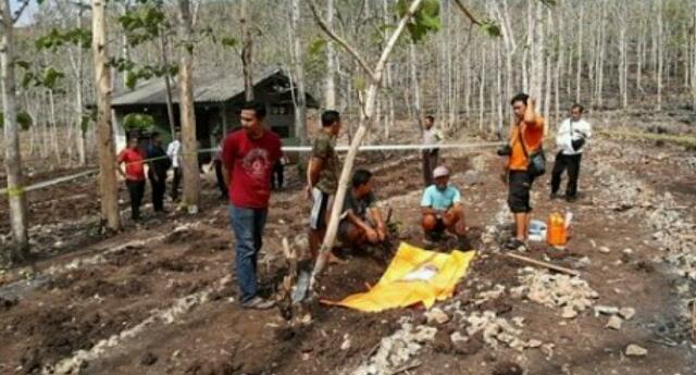 Geger! Tengkorak Ditemukan Kenakan Bra di Hutan Jati, Polisi: Korban Perempuan Remaja