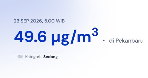 Sempat Fluktuatif, Pagi Ini, Kualitas Udara di Pekanbaru Sedang