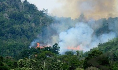 Polda Riau Usut  16 Perusahaan Pelaku Pembakaran Lahan