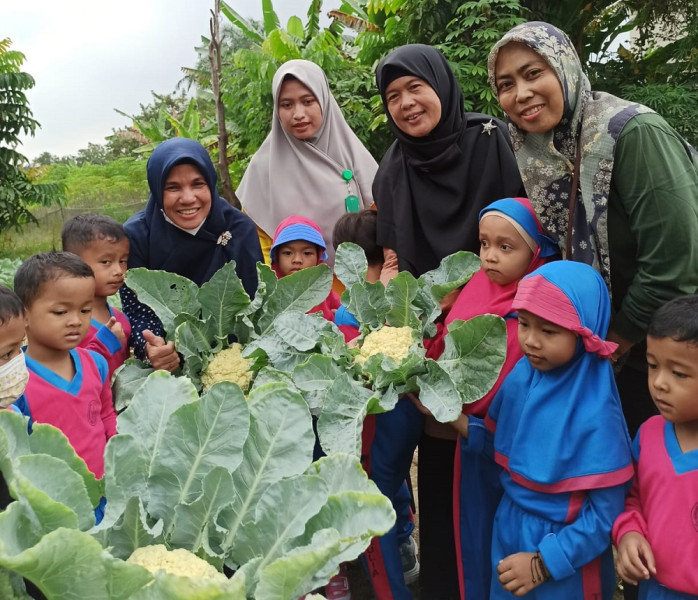 Sukses Tanam Sayuran di Pekarangan, Kini Ramai Dapat Kunjungan dari Sekolah-sekolah