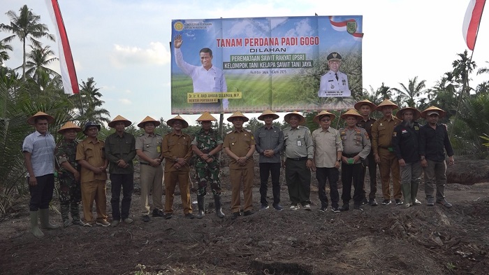 Pemkab Kampar Dorong Peningkatan Produksi Padi Petani