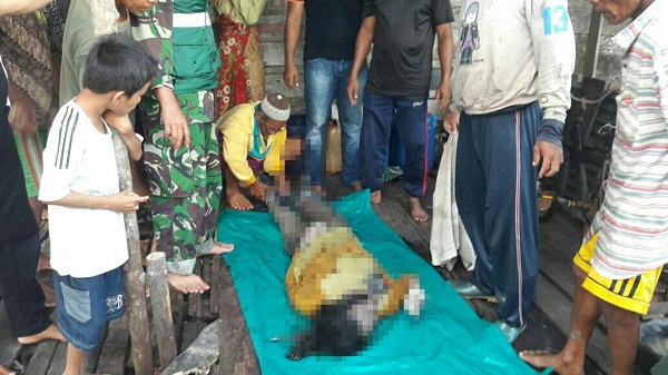 Pasutri Tak Pulang Usai Cari Siput, Istrinya Ditemukan Meninggal, Suami Masih Hilang