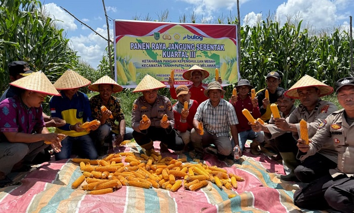 Bulog Serap 8 Ton Hasil Panen Jagung  di TPTM