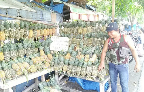 Dijual Rp10 Ribu Per Buah, Nenas Asal Riau Ini Jadi Pilihan Warga Medan saat Ramadhan