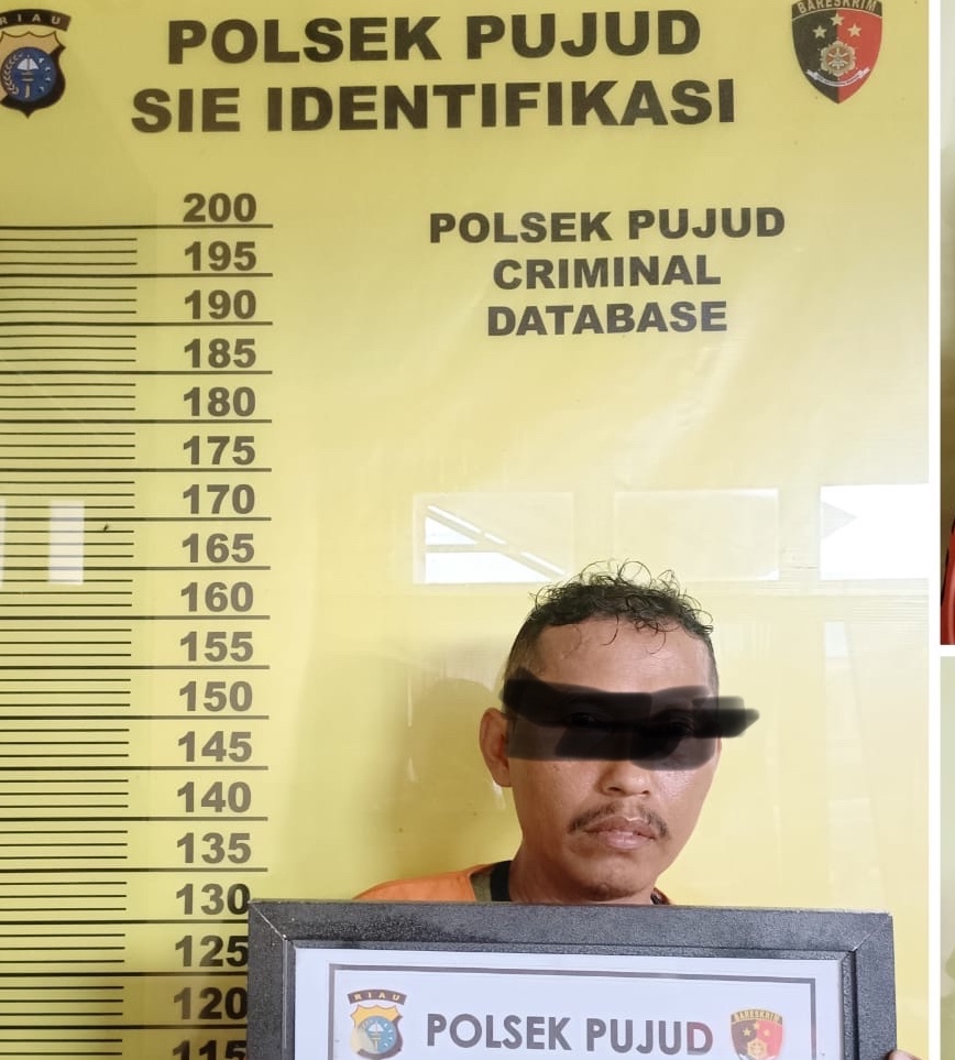 Diduga Cabuli Anak Bawah Umur, Gaek Rohil Diamankan Polisi