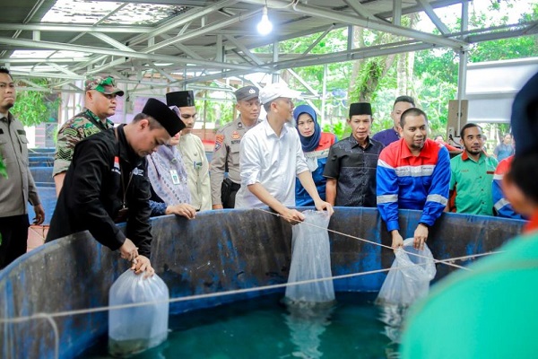 Pertagas Hadirkan Program Budidaya Ikan Gurami di Dumai