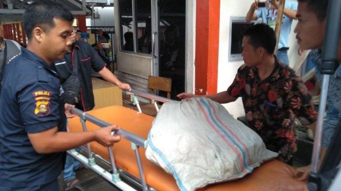 Mengerikan! Dimangsa Harimau, Tubuh Suwandi Tak Utuh Lagi, Kerangka Dada Hilang