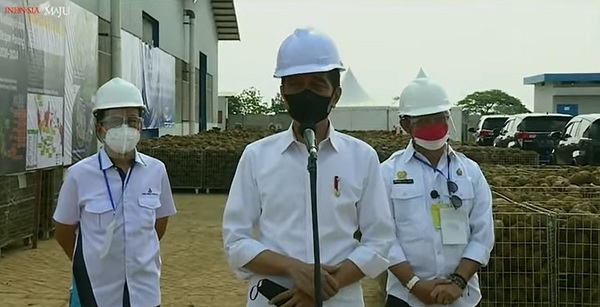 Porang Hasilkan Rp40 Juta per Hektare, Presiden Jokowi: Nilai Yang Sangat Besar...