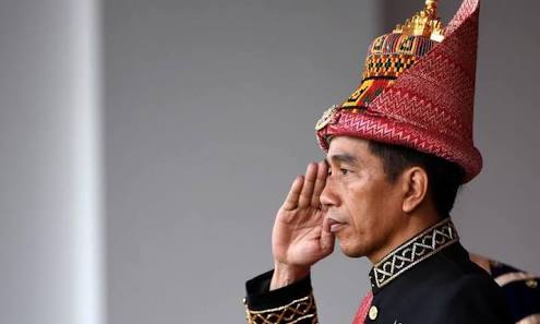 Gara-gara Ini, Walhi hingga Greenpeace Siap Gugat Jokowi dan 'Anak Buahnya'