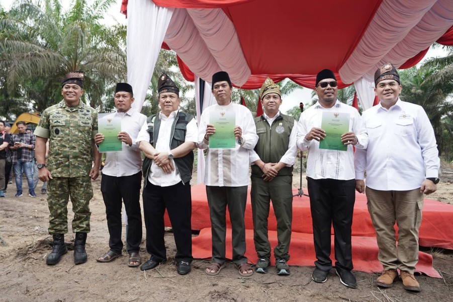 Langkah Nyata Selamatkan Tesso Nilo, Sawit Ditumbangkan dan Hutan Dipulihkan