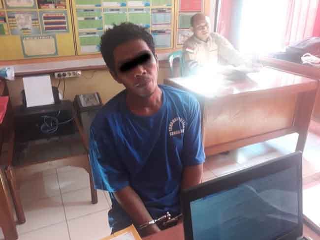 MEMANG PARAH ABANG NIH... Curi Sapi Lalu Dijual, Duitnya untuk Anak-Bini dan Bayar PSK