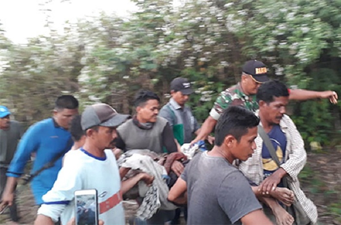 MENGERIKAN... Lagi Asyik Bekerja di Kebun, Muhammad Bin T Bardan Terluka Parah Diserang Gajah Betina