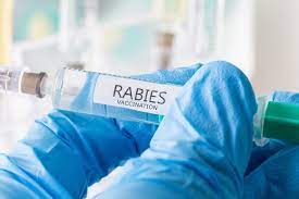 Warga Pekanbaru Bisa Dapatkan Vaksin Anti Rabies Secara Gratis di Puskesmas