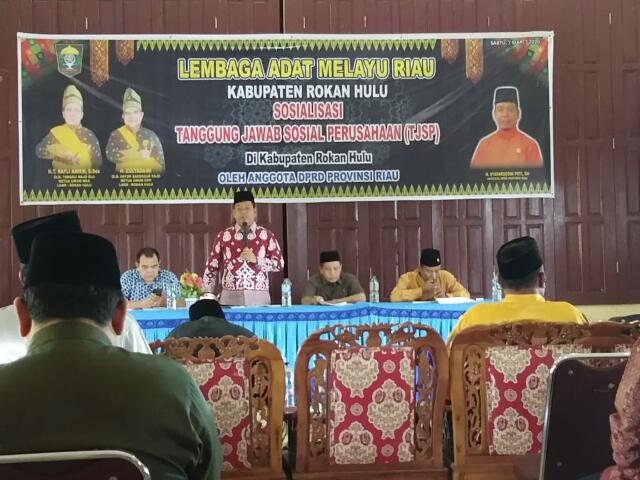 800 Ribu Heaktare Lahan Perusahaan di Rohul Tak Berizin