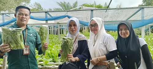 Kepala DKP Tinjau Aktivitas Pertanian Hidroponik DK Green Farm di Kulim